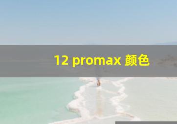 12 promax 颜色